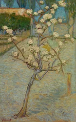 Kleiner Birnbaum in Blüte